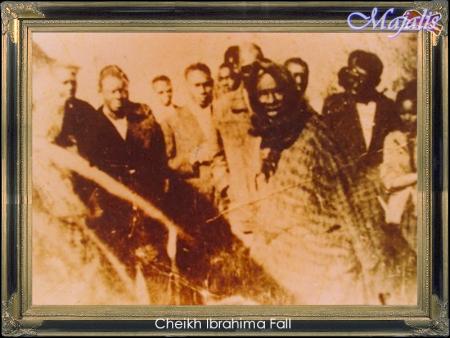 cheikh ibra fall